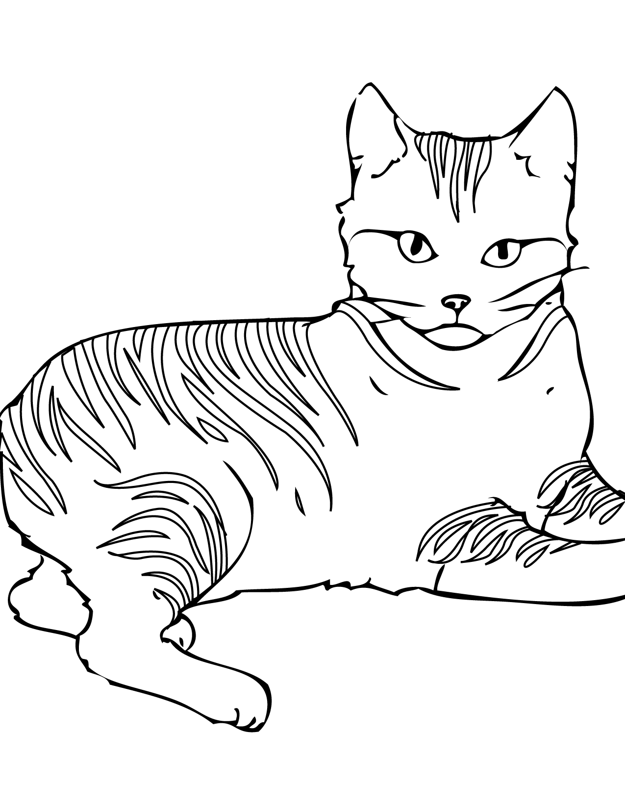 Cat 8
